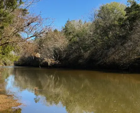 Choctawhatchee River Frontage Land