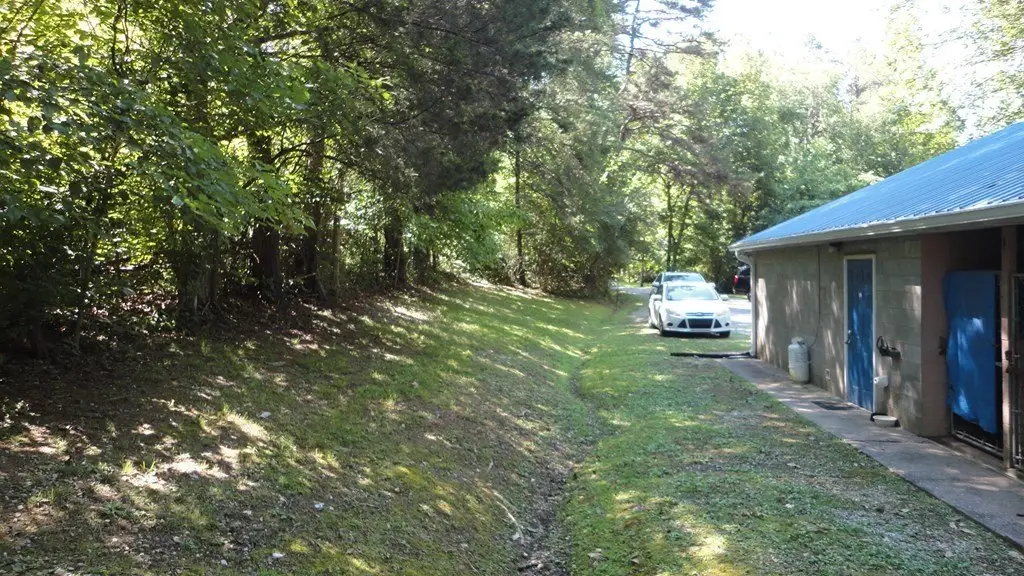 Picture 5