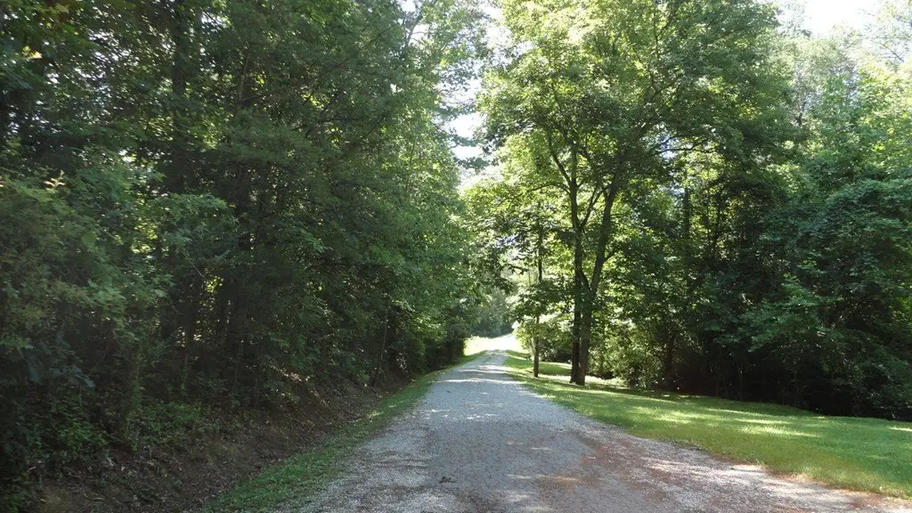 Picture 13