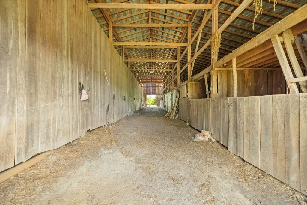 Picture 19