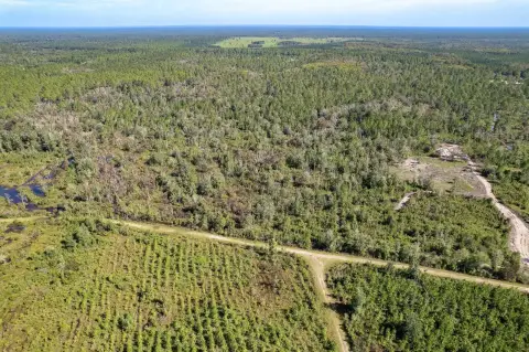 Crawfordville Land Near St. Marks