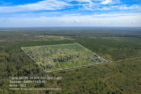 Crawfordville Land Near St. Marks