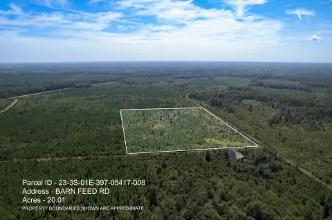 Crawfordville Land Near St. Marks