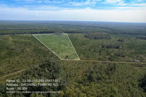 Crawfordville Land Near St. Marks