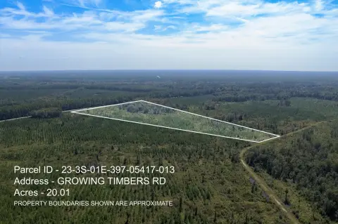 Crawfordville Land Near St. Marks