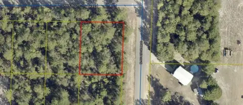 Wooded Lot in DeFuniak Springs