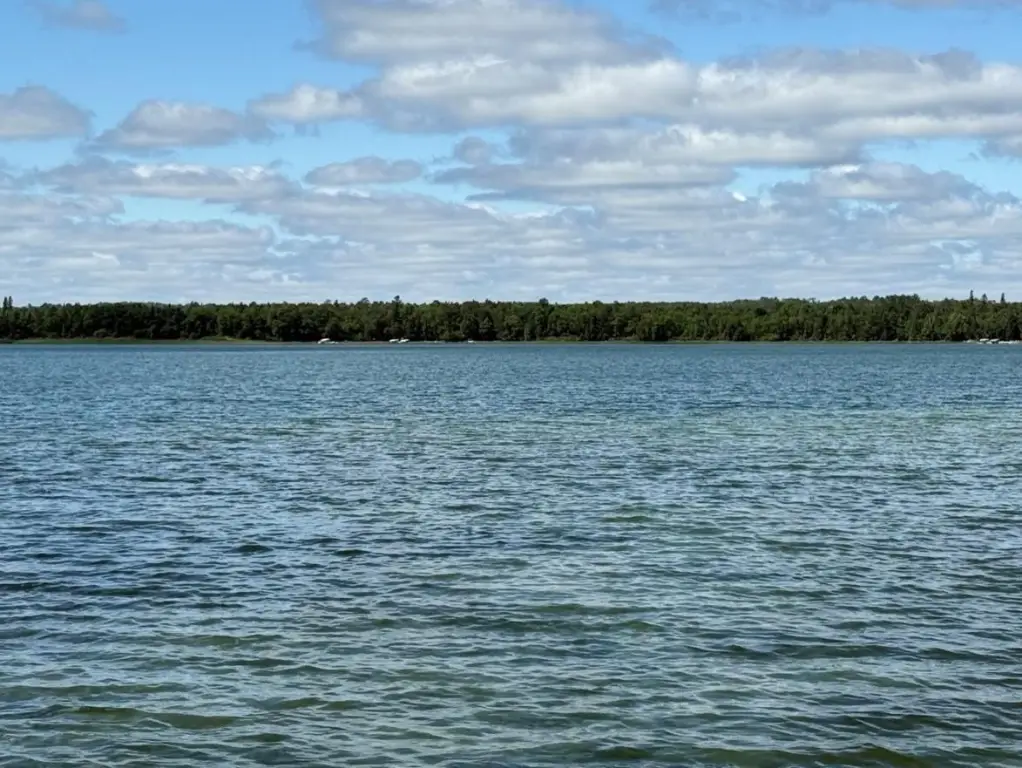 Picture 5