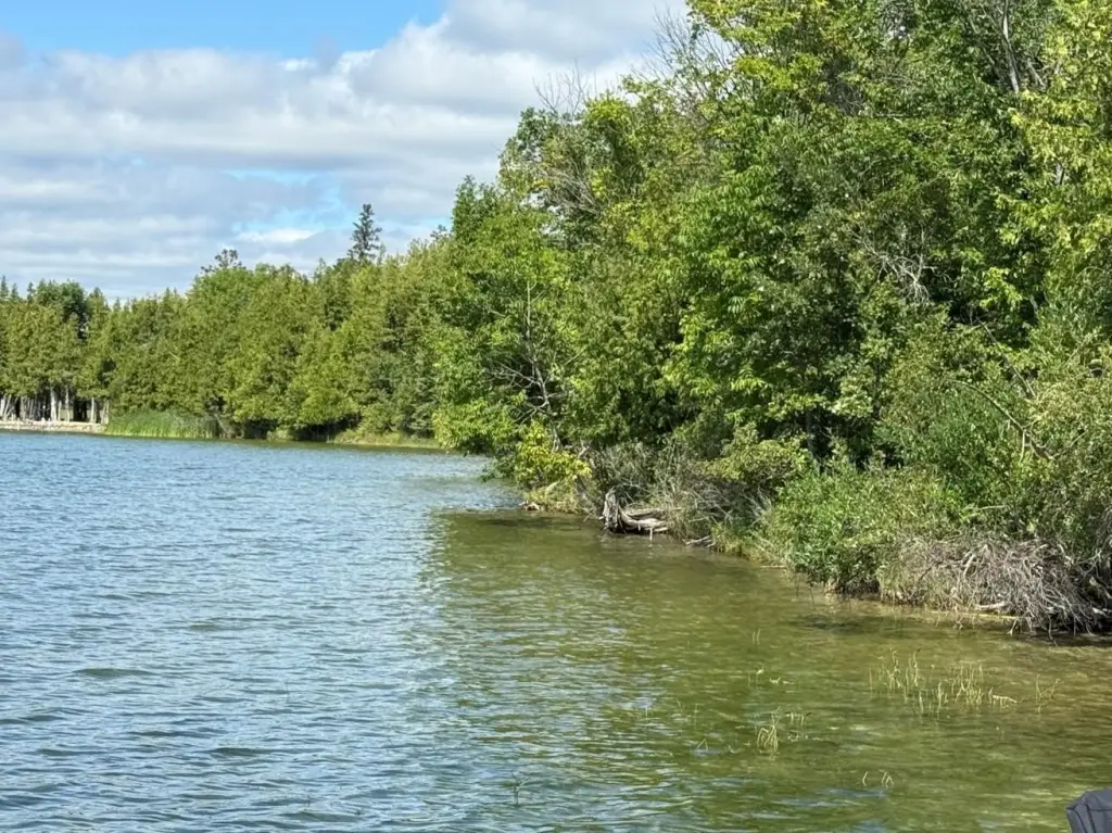 Picture 6