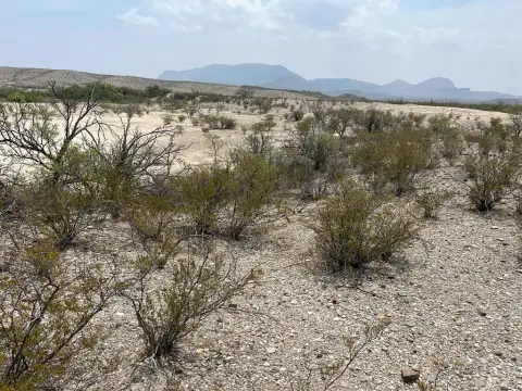 Terlingua Land for Hunting