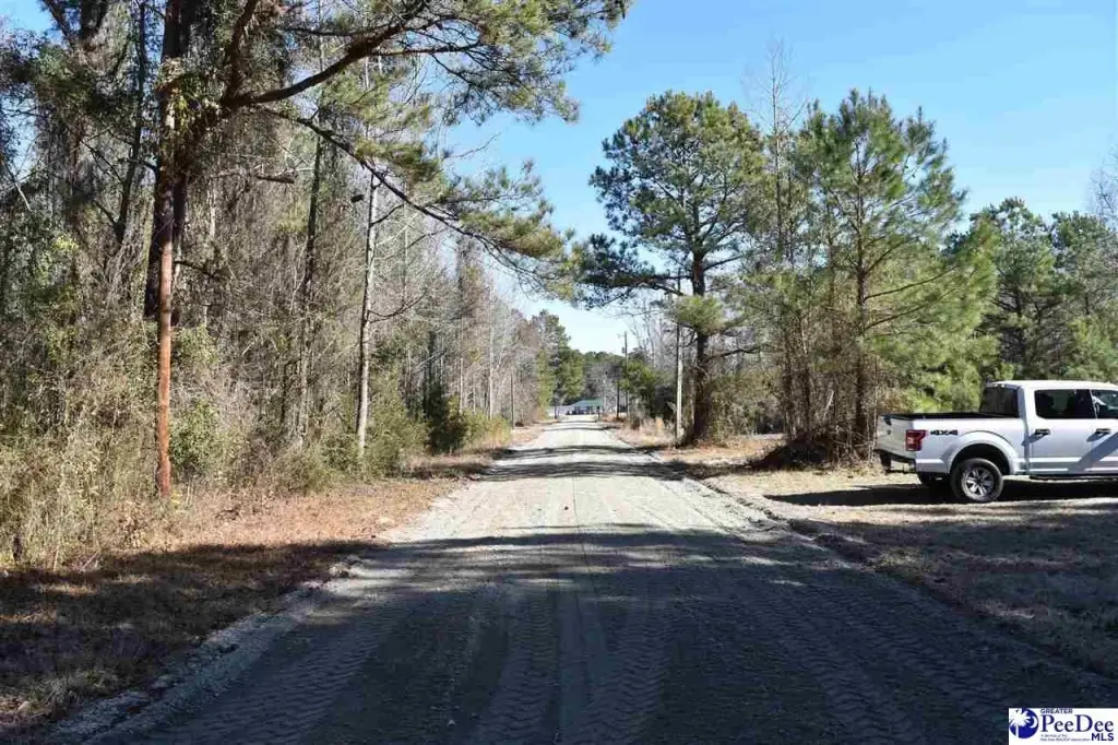 Picture 6