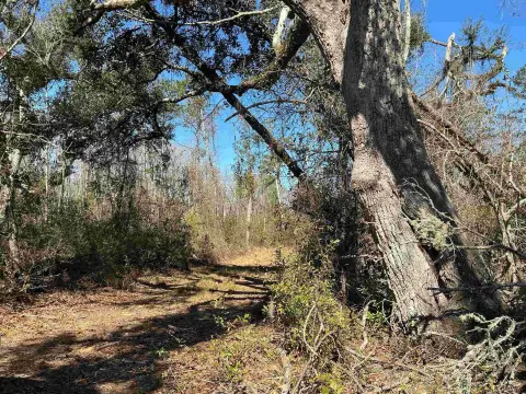 40 Acres Hunting/Agricultural Land, Madison