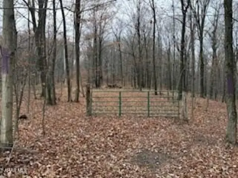 Private Hunting Land with Timber