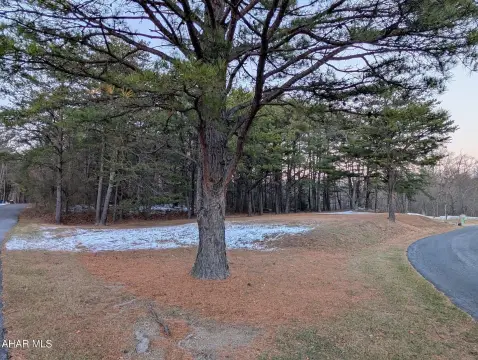 Wooded Land in Hilltop Subdivision