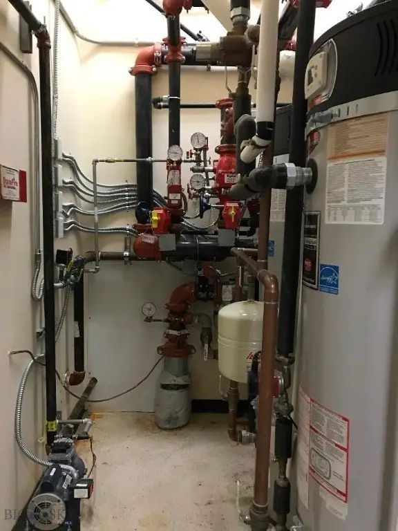 Picture 17
