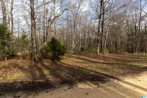 Recreation Land Near Alabama River