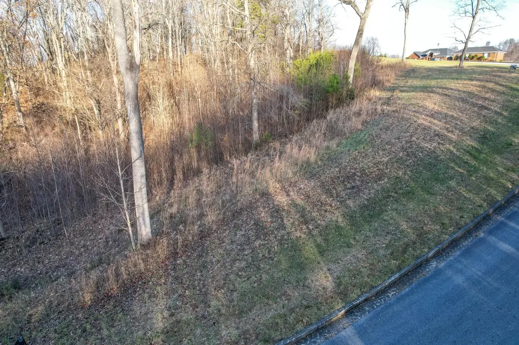 Picture 2