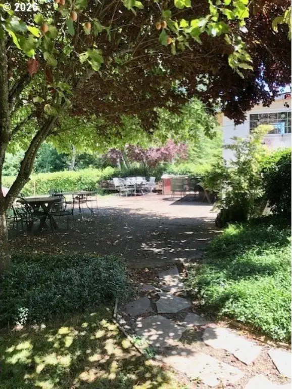 Picture 26