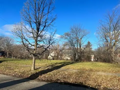 Detroit Land Infill Opportunity