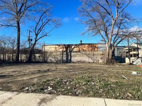 Detroit Vacant Land Opportunity