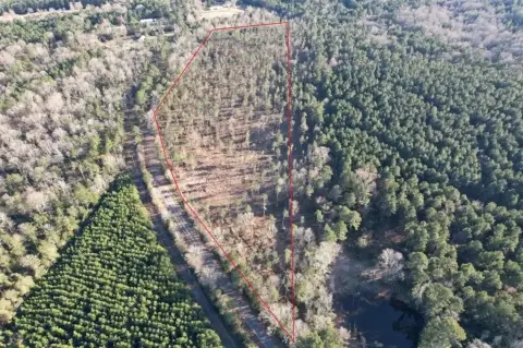 17.86 Acres in Panola County