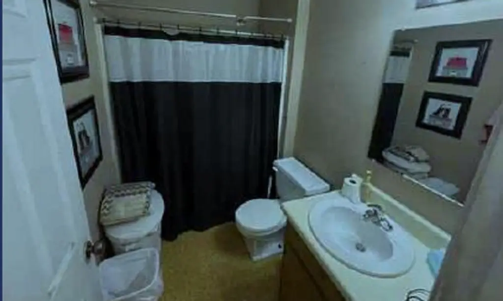Picture 8