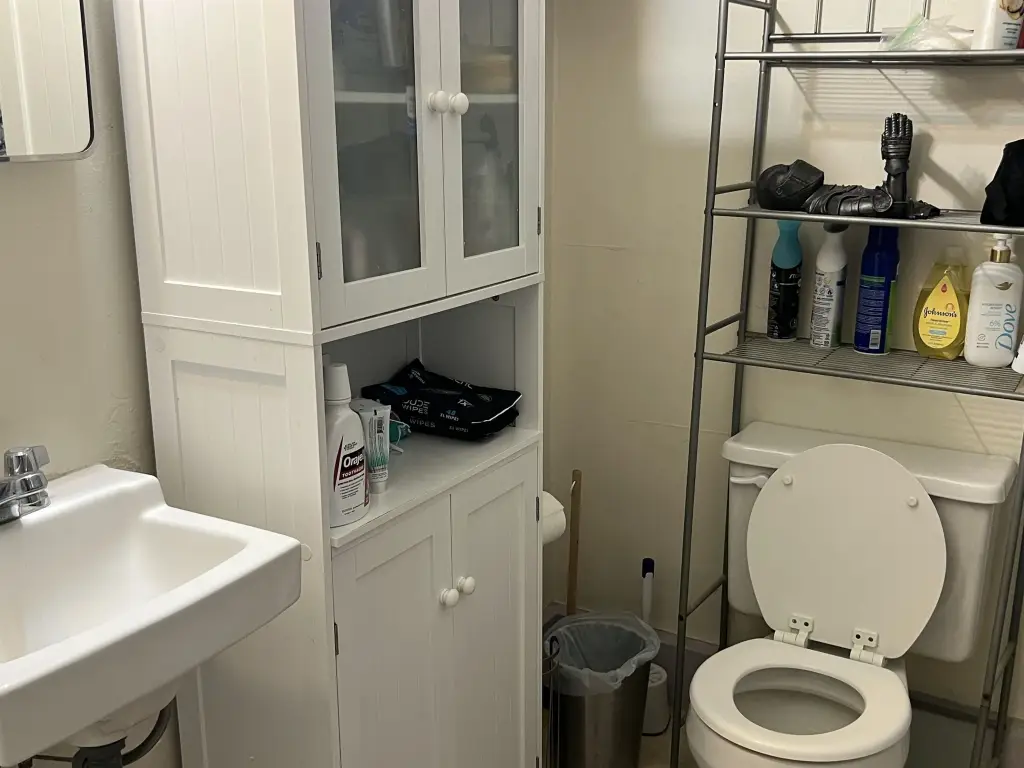 Picture 26