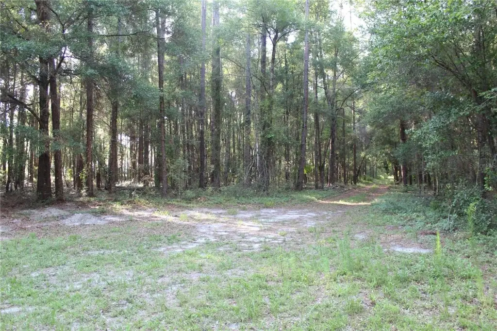Picture 4