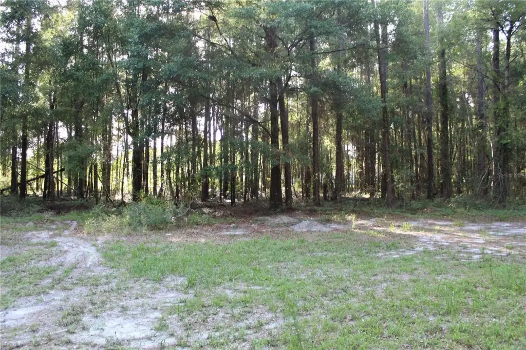 Picture 6
