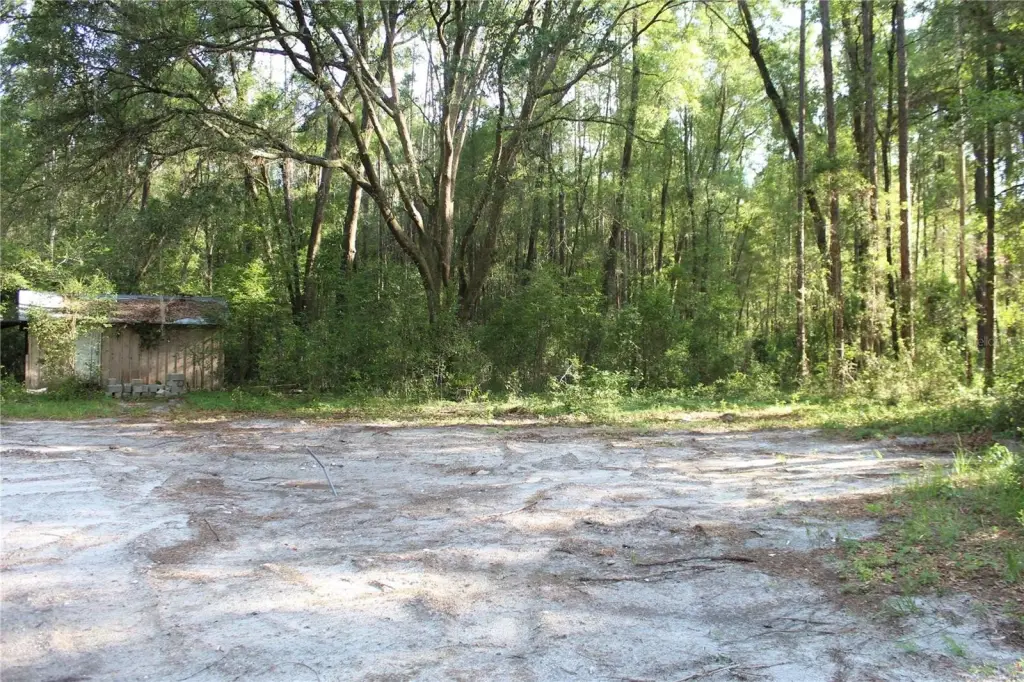 Picture 9