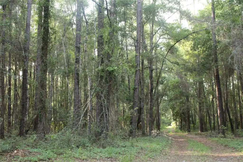 Picture 15