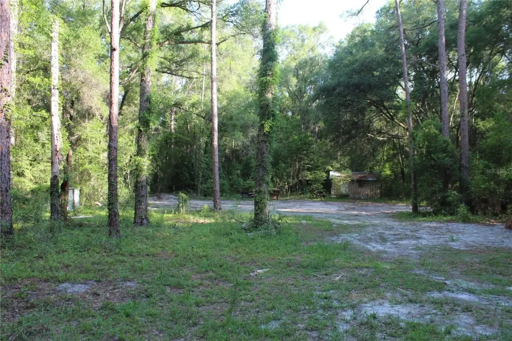 Picture 20
