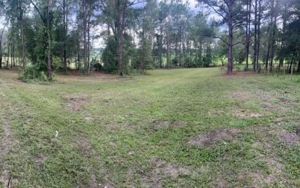 Picture 19