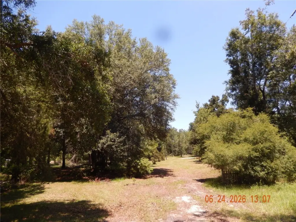 Picture 5
