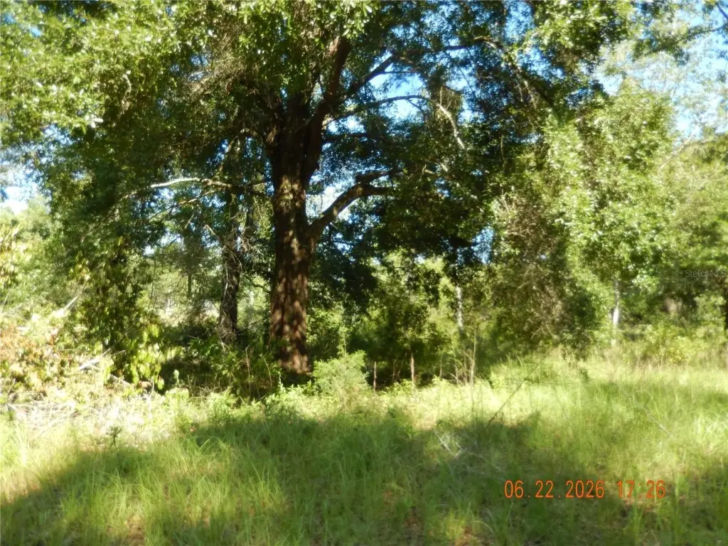 Picture 3