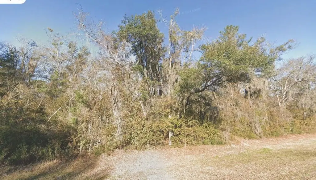 Picture 2