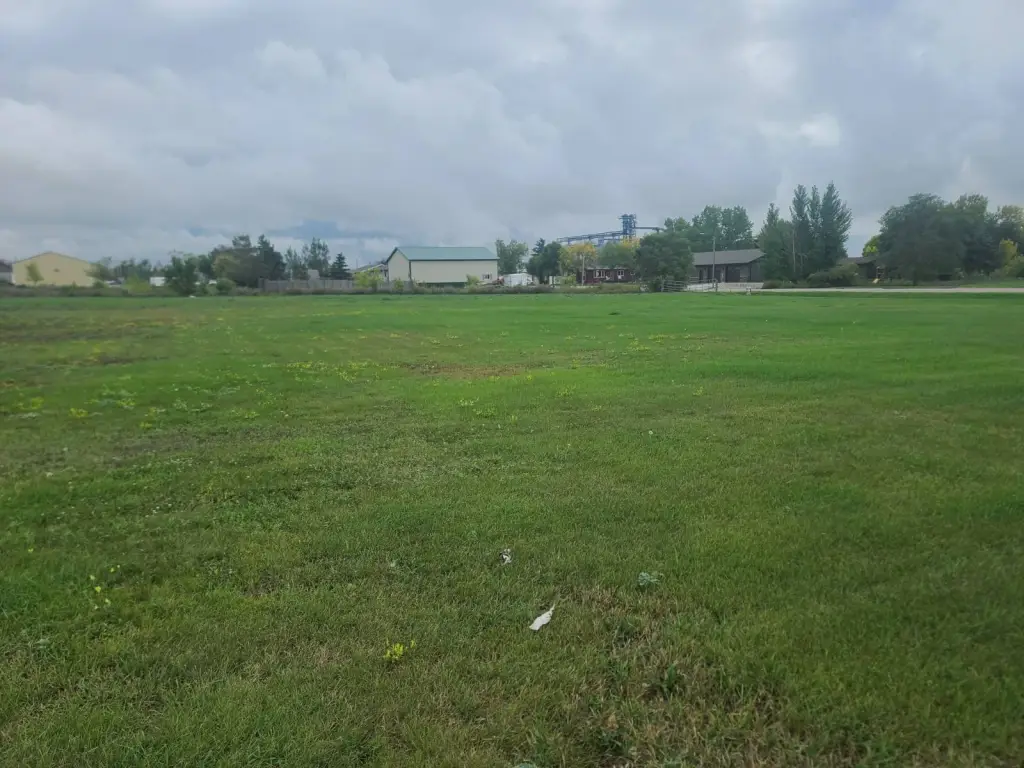 Picture 11