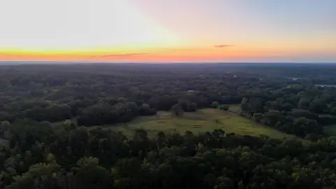 78 Acres of Hunting Land