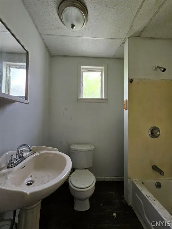 Picture 19