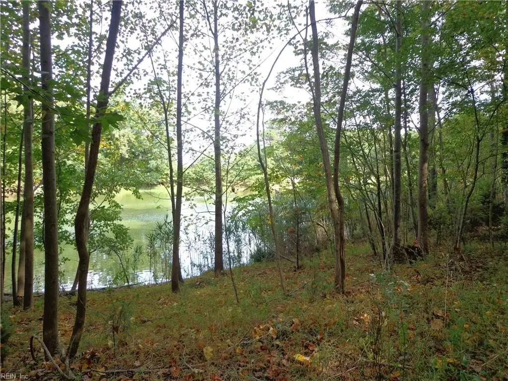 Picture 3