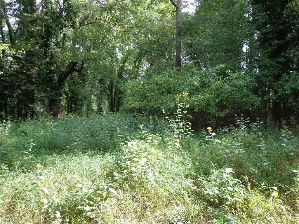 Picture 5