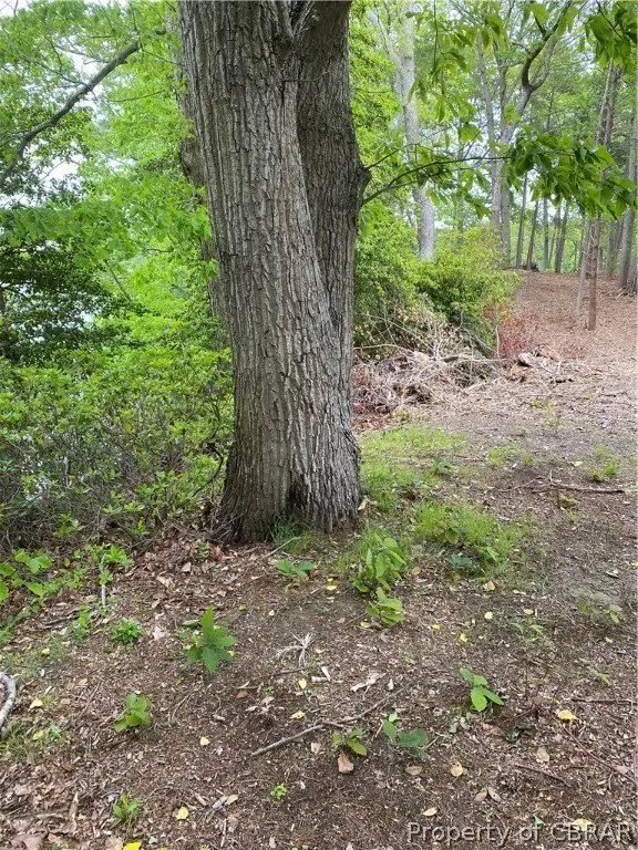 Picture 10