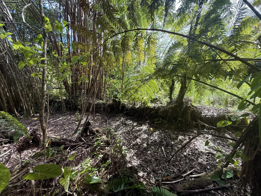 Picture 18