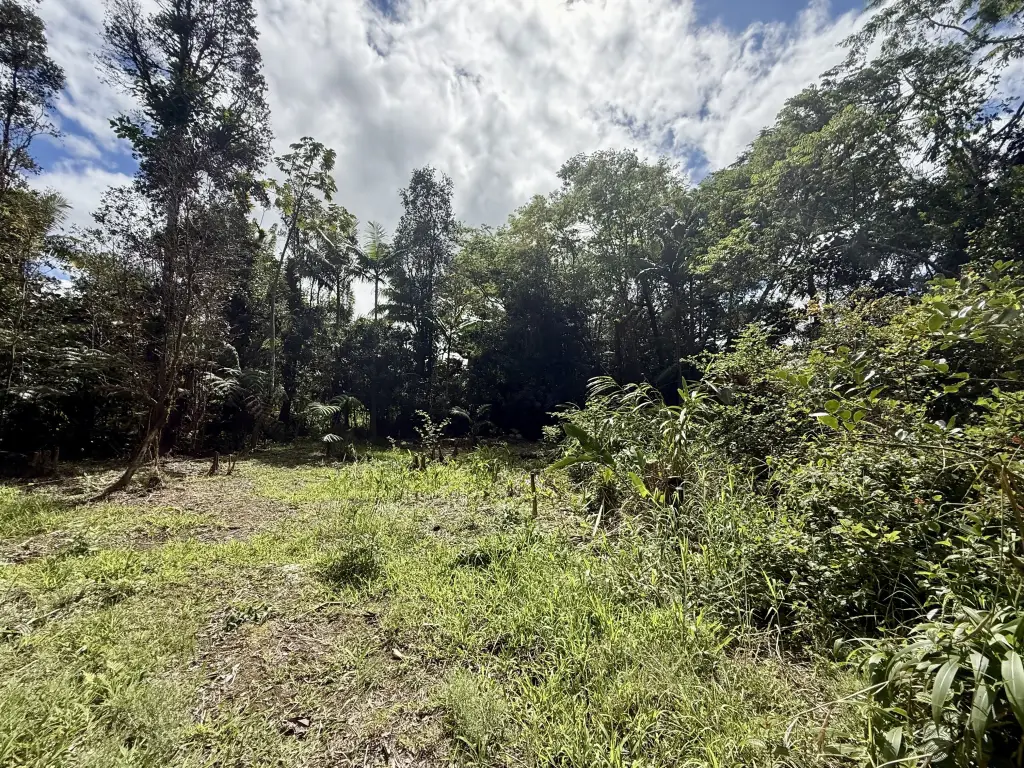 Picture 9