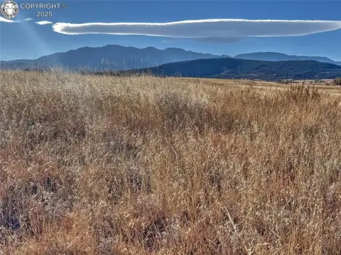 Land in Colorado City