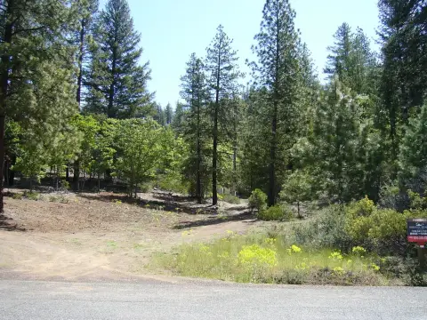 Forested Homesite Near Fort Jones