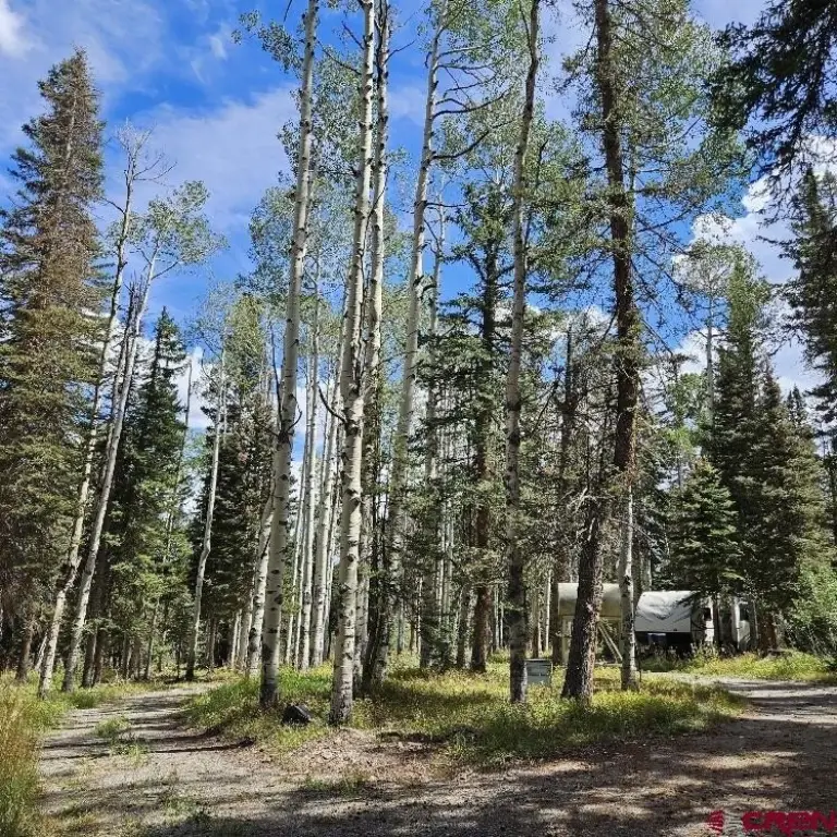 Picture 23