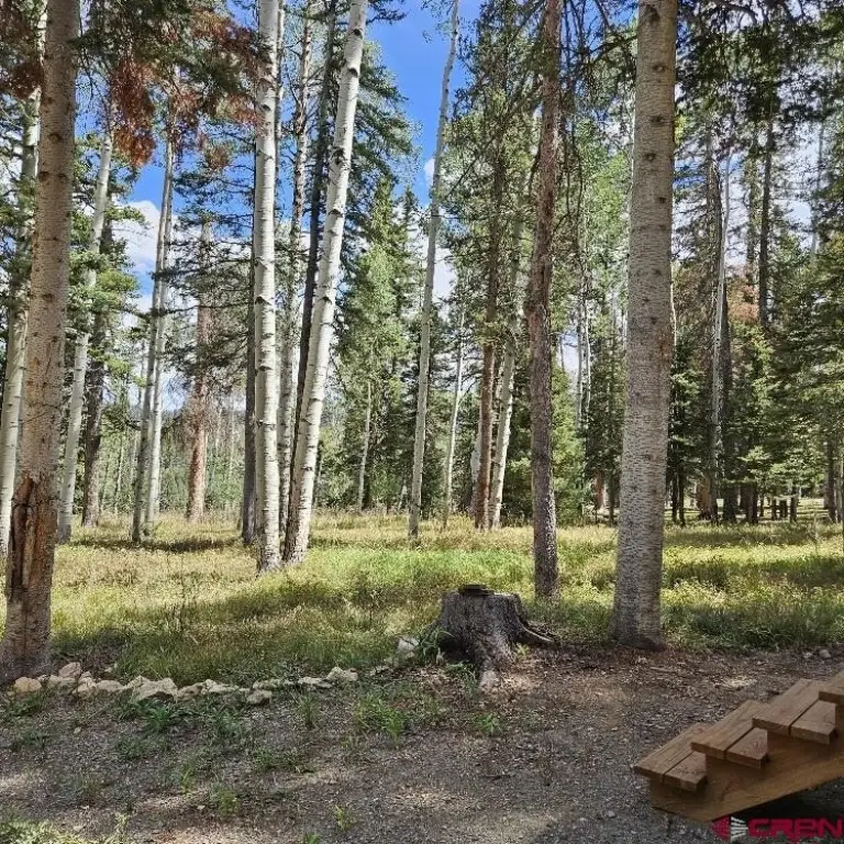 Picture 24