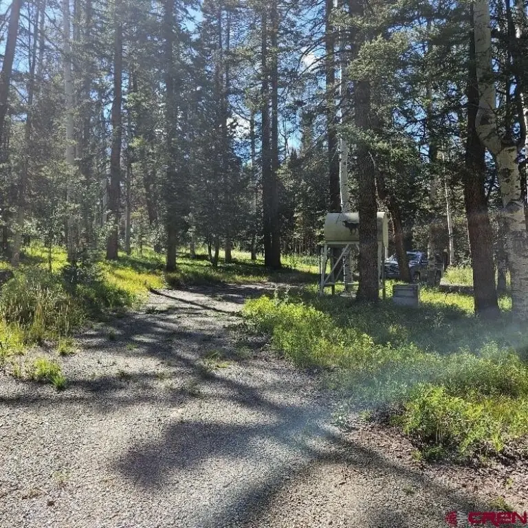 Picture 21