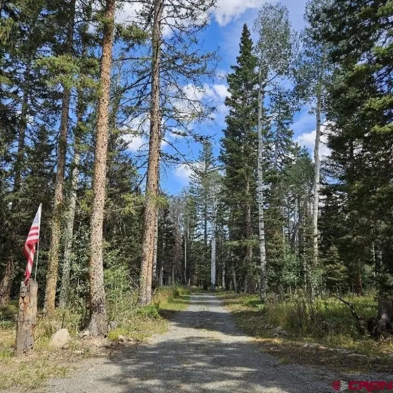 Picture 27