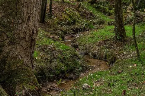 Improved Dawsonville Lot with Creek